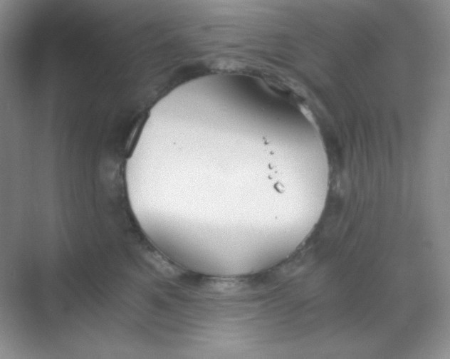 X0000068850521200605191954