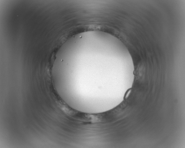 X0000068850522200605191954