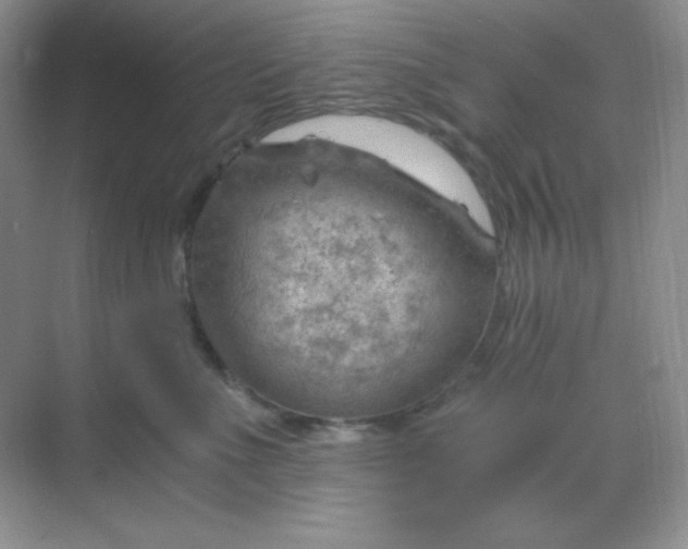 X0000068850523200605191954