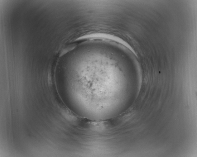 X0000068850524200605191954