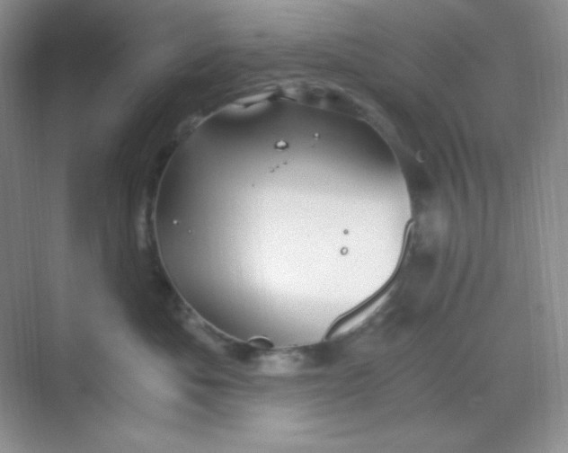 X0000068850525200605191954