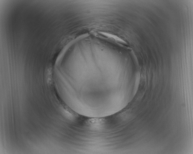 X0000068850526200605191954