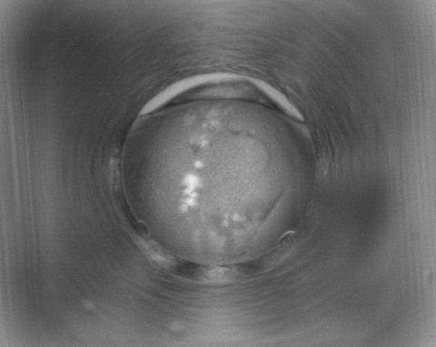 X0000068850527200605191954