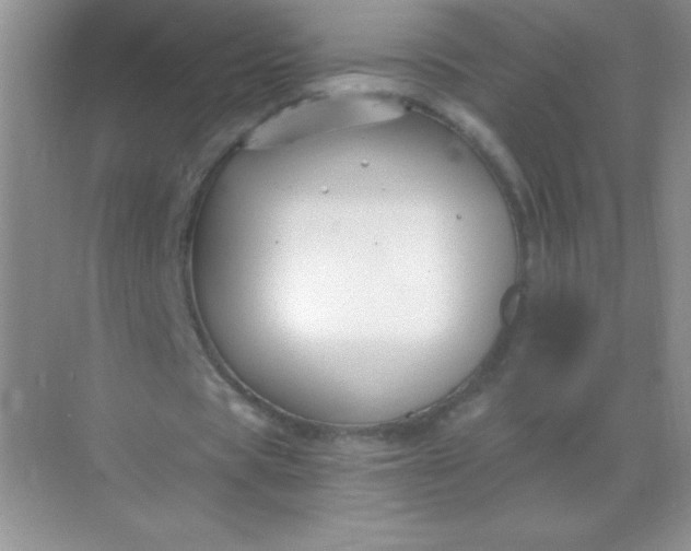 X0000068850529200605191954