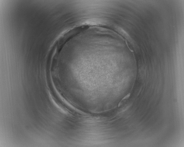 X0000068850530200605191954