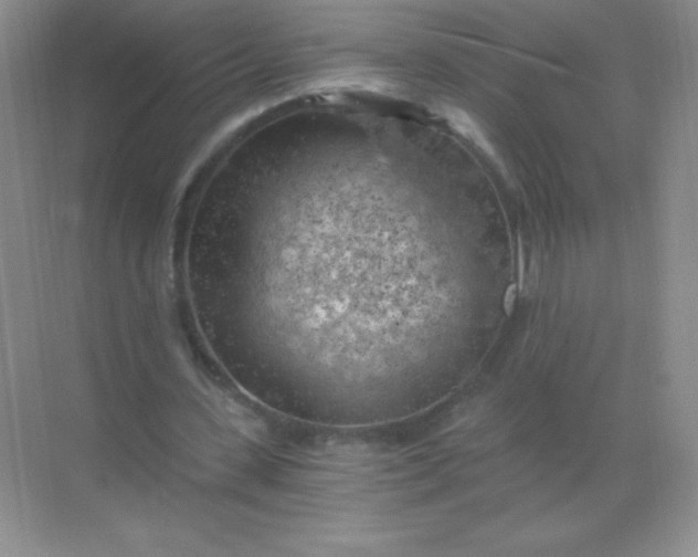 X0000068850531200605191954