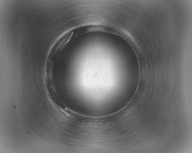 X0000068850532200605191954