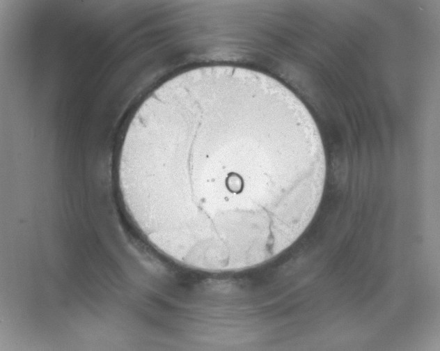 X0000068850534200605191954