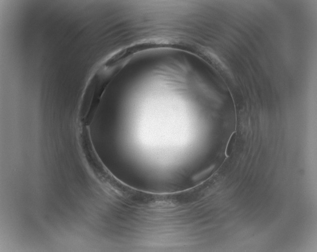 X0000068850536200605191954