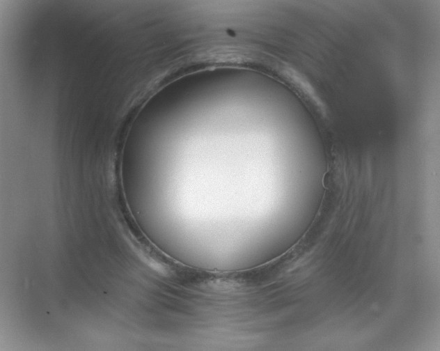 X0000068850537200605191954