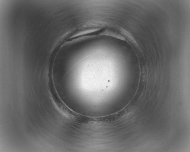 X0000068850538200605191954