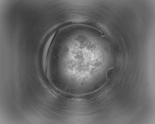 X0000068850539200605191954