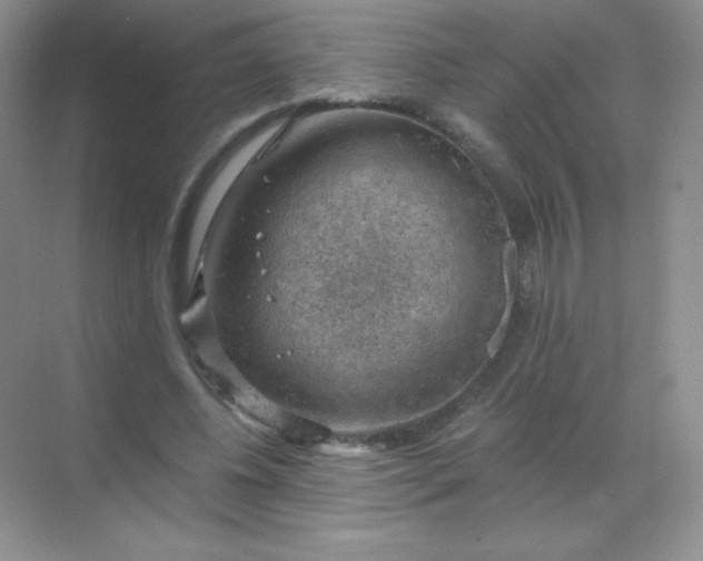 X0000068850540200605191954