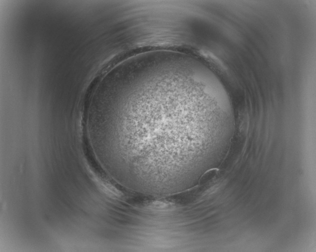 X0000068850542200605191954