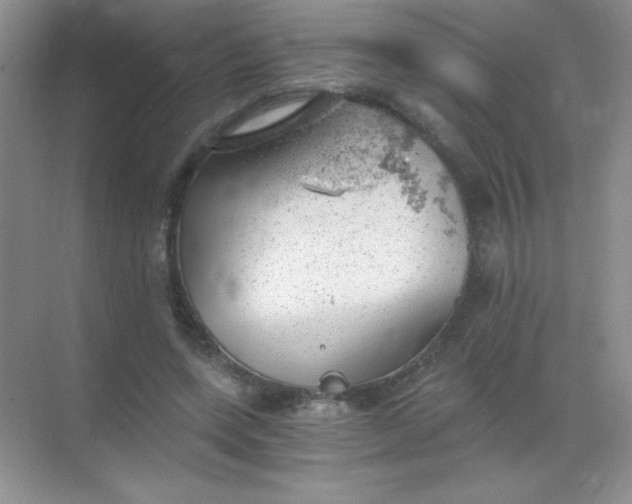 X0000068850543200605191954