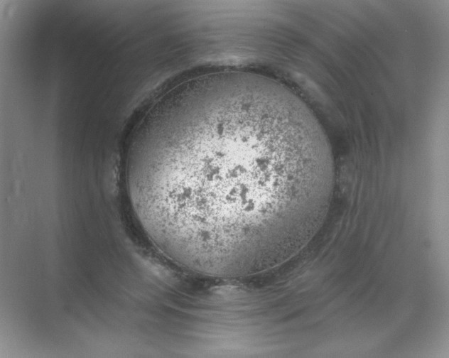 X0000068850544200605191954