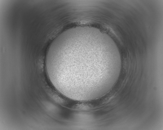 X0000068850545200605191954