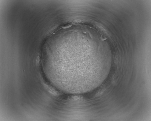 X0000068850546200605191954