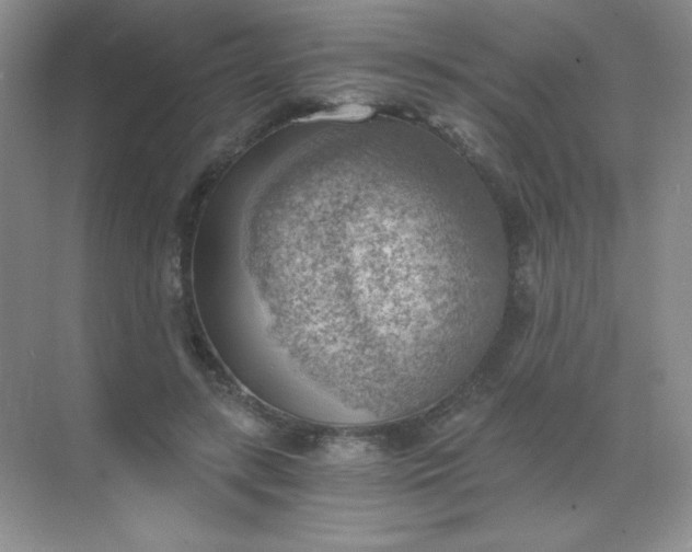 X0000068850547200605191954