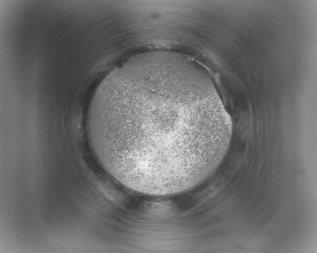 X0000068850548200605191954