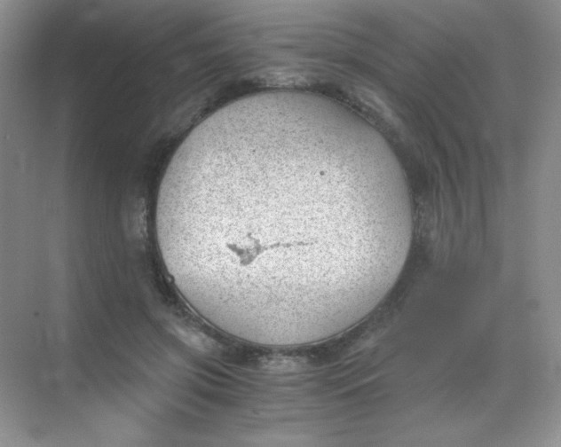 X0000068850549200605191954