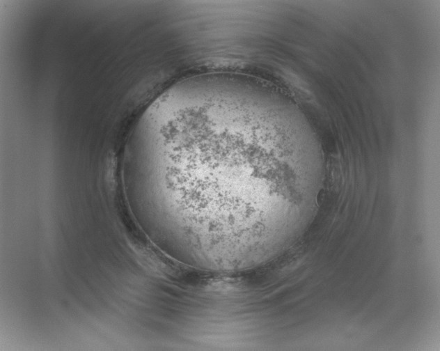 X0000068850550200605191954