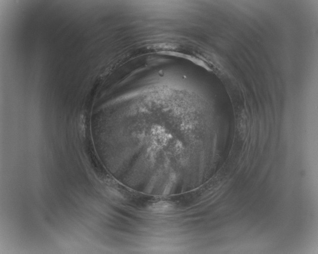 X0000068850551200605191954