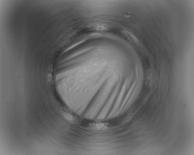 X0000068850553200605191954