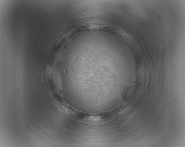 X0000068850554200605191954