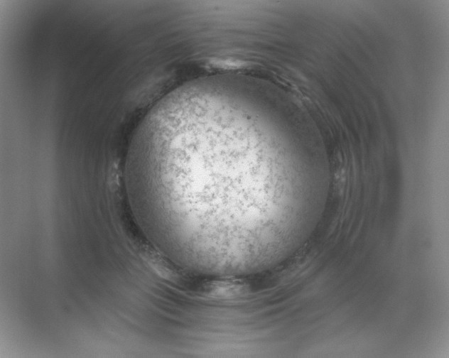 X0000068850555200605191954