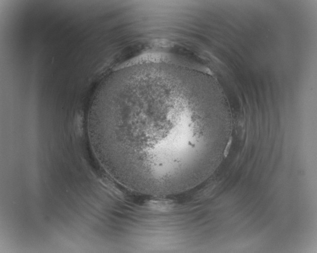 X0000068850556200605191954