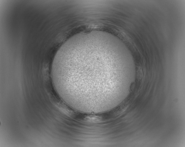 X0000068850557200605191954