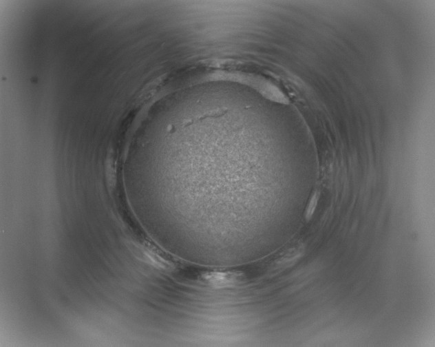 X0000068850558200605191954