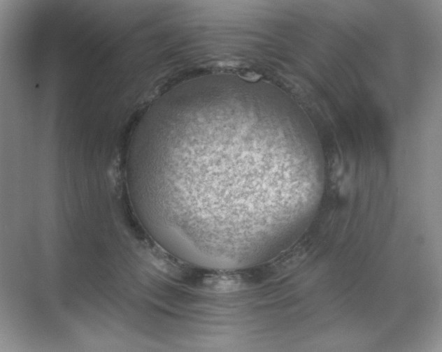 X0000068850559200605191954