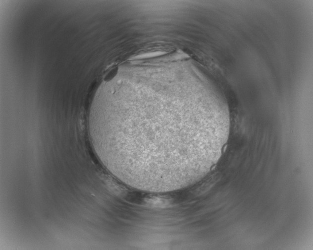 X0000068850561200605191954