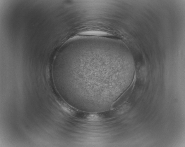 X0000068850562200605191954