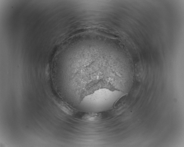 X0000068850563200605191954