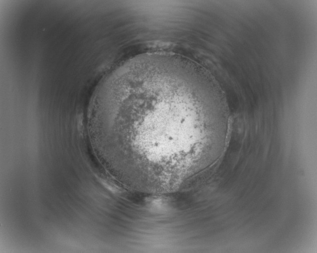 X0000068850564200605191954