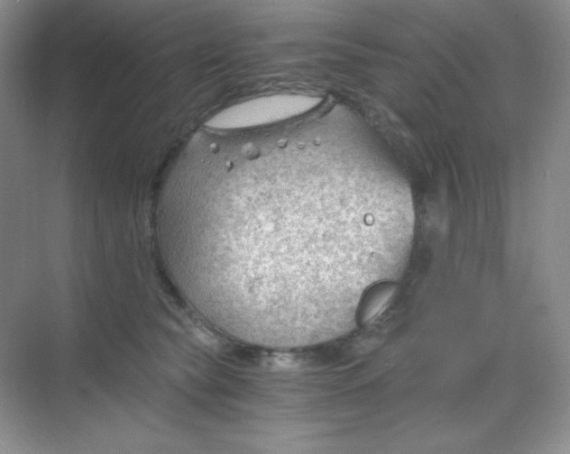 X0000068850565200605191954