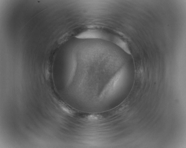 X0000068850566200605191954