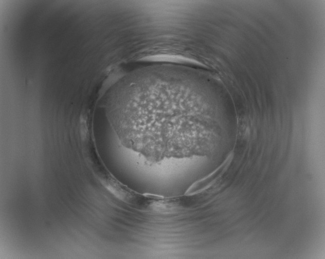 X0000068850568200605191954