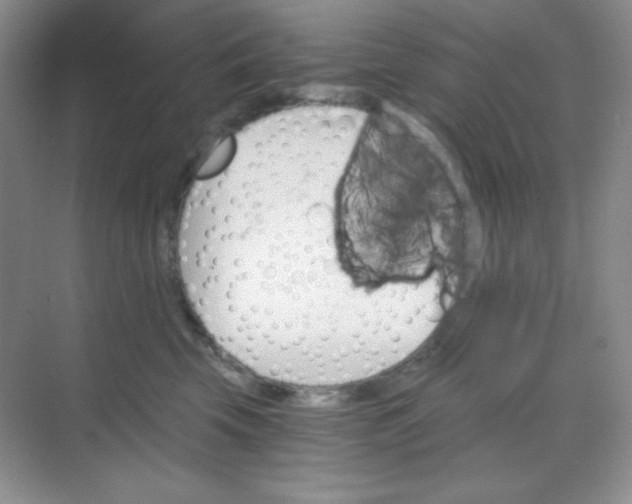 X0000068850569200605191954