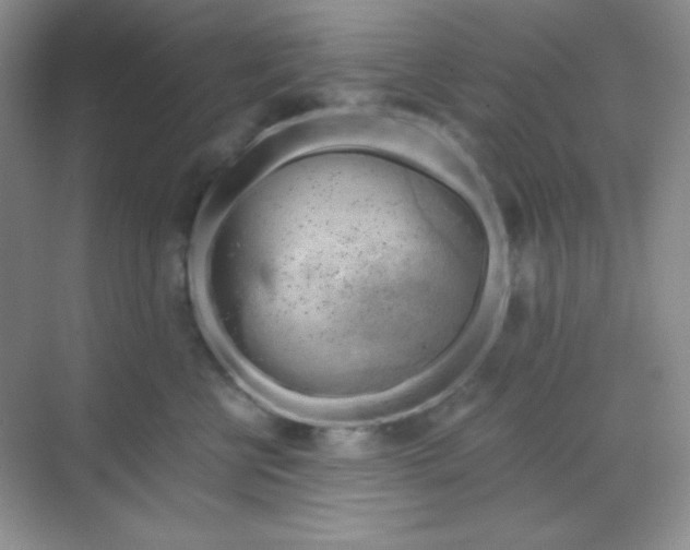 X0000068850570200605191954