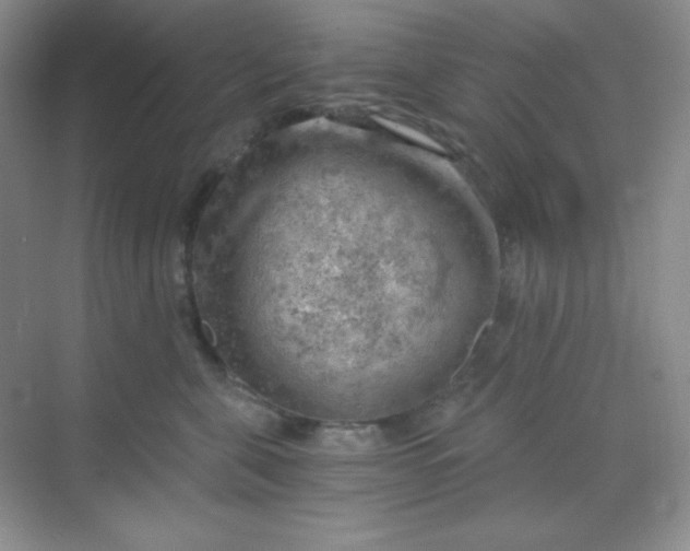 X0000068850571200605191954