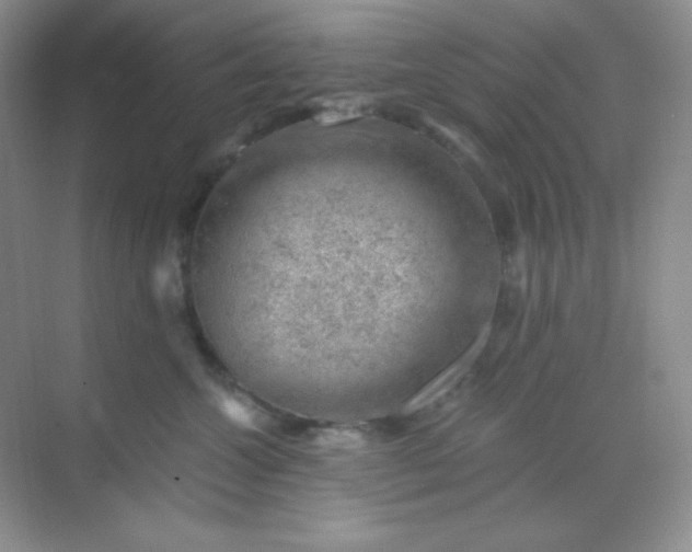 X0000068850572200605191954