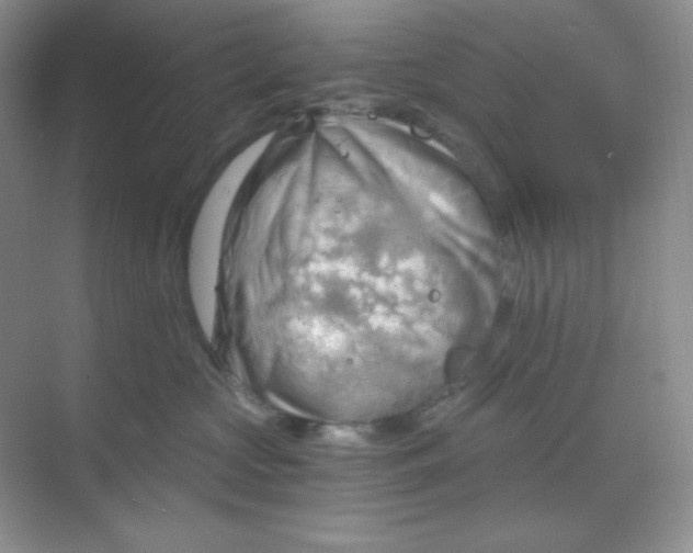 X0000068850573200605191954