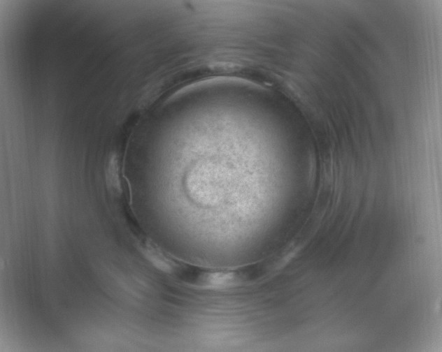 X0000068850575200605191954