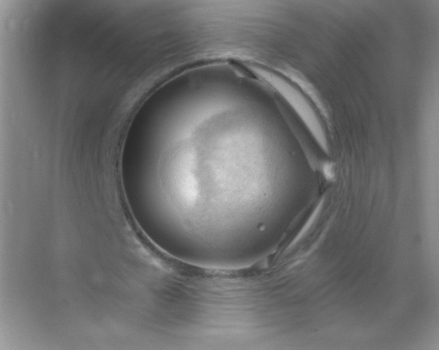 X0000068850577200605191954