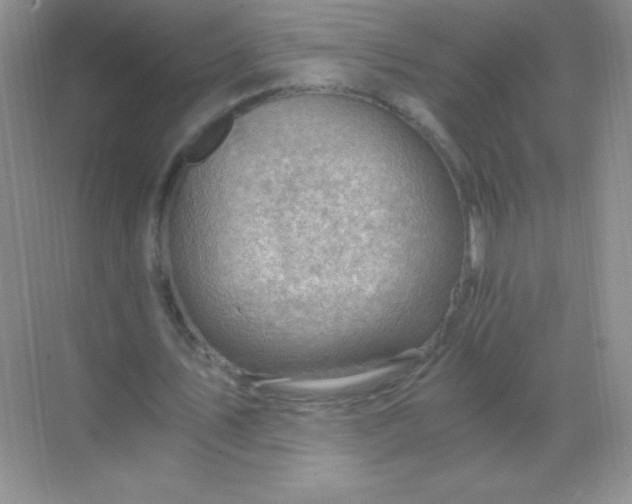 X0000068850579200605191953