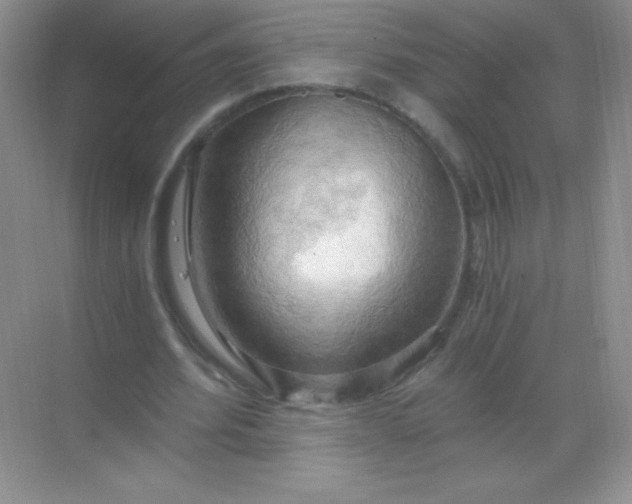 X0000068850580200605191953